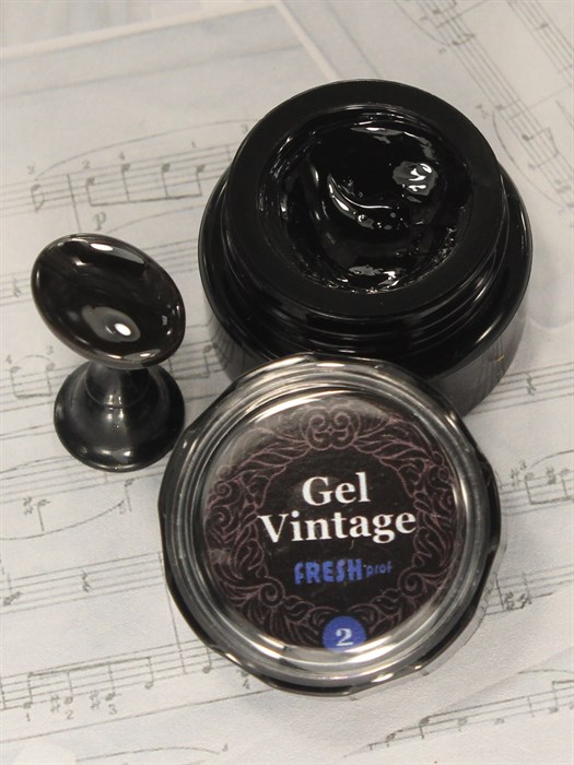 Gel Vintage Fresh prof №02, 5 гр - фото 17949